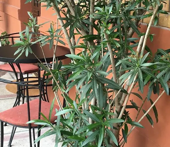 Bridge & Castle Art * Budapeste