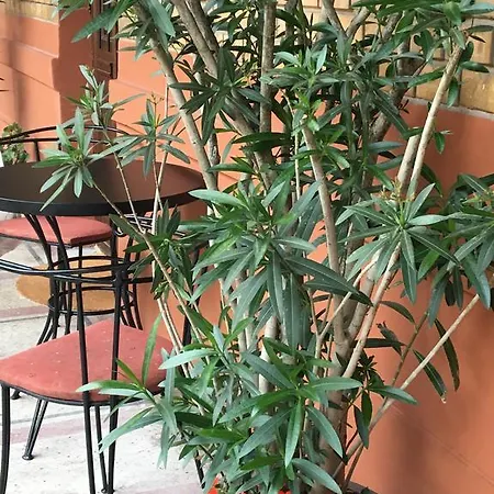 Bridge & Castle Art * ブダペスト